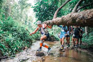 BIB: 
                            <button type="button" onclick="openModal(25373781)" class="btn btn-primary btn-sm float-right btn-popup" data-toggle="modal" data-target=".modal-high-quality">
                        <i class="fas fa-shopping-cart"></i> Add to Cart
                    </button>
                                            <button type="button" onclick="isThisMe(25373781, true)" class="btn btn-success btn-sm float-right btn-popup btn-isme hidden" data-toggle="tooltip" data-placement="bottom" title="นี่คือรูปของคุณใช่ไหม คลิกที่นี่เพื่อเอาเข้าอัลบั้ม">
                        <i class="fas fa-plus"></i> Add to album
                    </button>
                    <button type="button" onclick="isThisMe(25373781, false)" class="btn btn-warning btn-sm float-right btn-popup btn-isnotme hidden">
                        <i class="fas fa-ban"></i> Remove from album
                    </button>